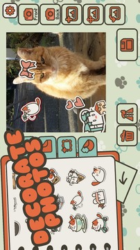 斑点猫游戏截图3