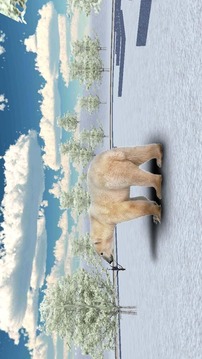 Indignant Bear 3D Attack游戏截图3