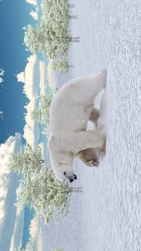 Indignant Bear 3D Attack游戏截图2