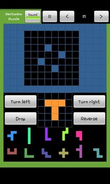 Pentomino Puzzle Game游戏截图1