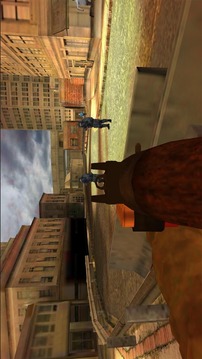 Frontline Lone Commando 3d游戏截图4