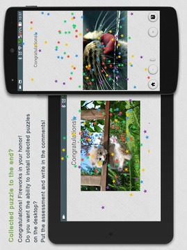 Jigsaw Puzzles Cats游戏截图4