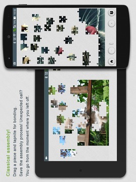 Jigsaw Puzzles Cats游戏截图2