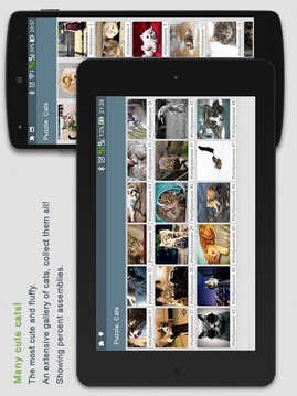 Jigsaw Puzzles Cats游戏截图5
