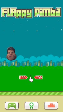 Flappy Pimba游戏截图1