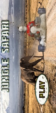 Jungle Safari Racing游戏截图5