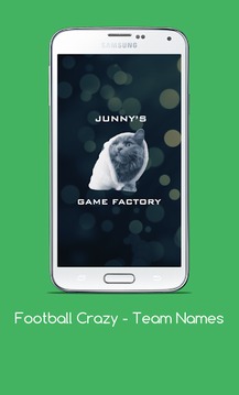 Football Crazy - Team Names游戏截图2