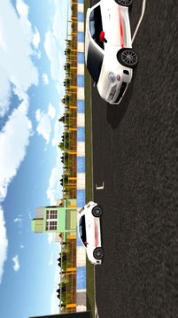 Grand Race Simulator 3D Lite游戏截图4