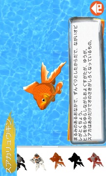 金鱼すくい3D～子供のための図鉴シリーズ～游戏截图5