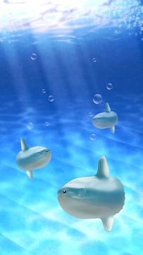 Aquarium sunfish simulation游戏截图2