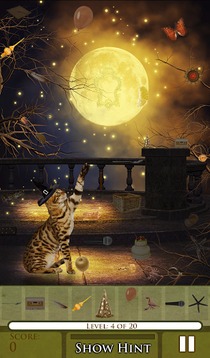 Hidden Object - Cat Tailz Free游戏截图4