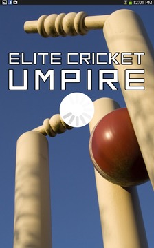 Elite Cricket Umpire游戏截图5