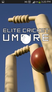 Elite Cricket Umpire游戏截图1