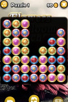 Flowers Bloom Match 3 Game游戏截图3