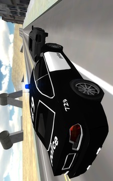 Police Car Drift 3D游戏截图2