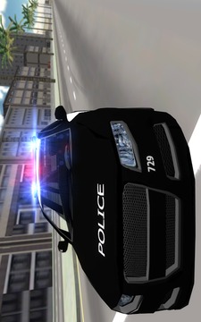 Police Car Drift 3D游戏截图1