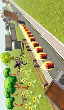 极端自行车特技游戏截图5