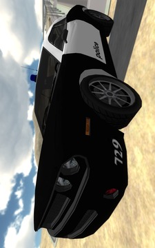 Police Car Drift 3D游戏截图4
