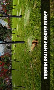 Hunting Jungle Animal游戏截图3
