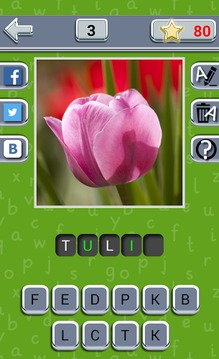 Guess the Flower游戏截图4