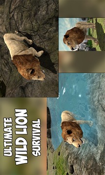 Angry Lion Jungle Survival 3D游戏截图1