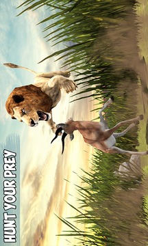 Angry Lion Jungle Survival 3D游戏截图2