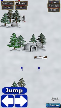 SGN Sports Downhill Skiing游戏截图1