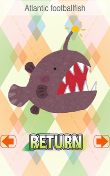Deep-sea fish Speed(card game)游戏截图3