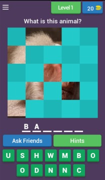 Reveal The Animal Quiz游戏截图1