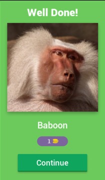 Reveal The Animal Quiz游戏截图2