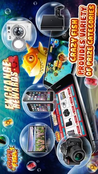 Crazy Fish游戏截图1