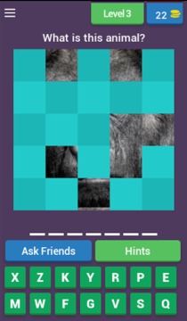 Reveal The Animal Quiz游戏截图4