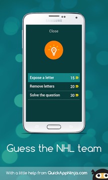 Guess the NHL team游戏截图5