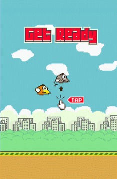 Floppy Bird New游戏截图1