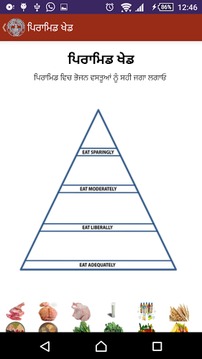 Nutrition ਪੋਸ਼ਣ ਖੇਡ Punjabi游戏截图3