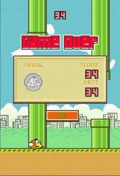 Floppy Bird New游戏截图4