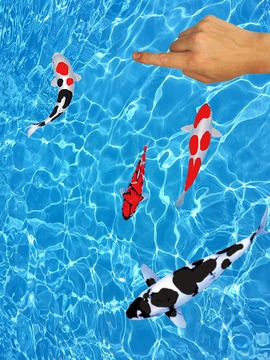 Koi Fishing Fingers Game游戏截图4