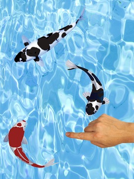 Koi Fishing Fingers Game游戏截图2