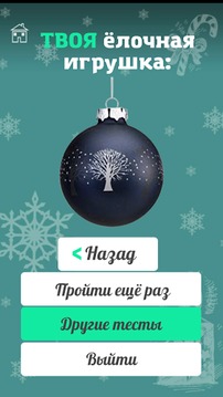 Тест на 2015 новый год游戏截图2