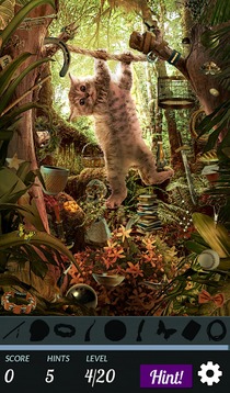 Hidden Object - Cats Island游戏截图5