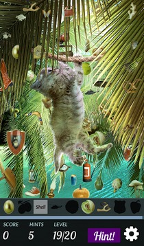 Hidden Object - Cats Island游戏截图4