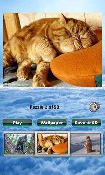 猫拼图 Cats Puzzle游戏截图2