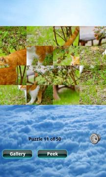 猫拼图 Cats Puzzle游戏截图4