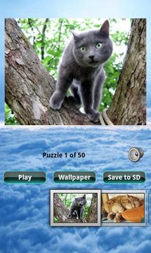 猫拼图 Cats Puzzle游戏截图3