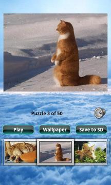 猫拼图 Cats Puzzle游戏截图1