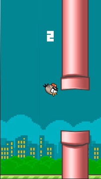 Flopy Bird Lite游戏截图4