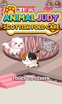 Animal Judy: ScottishFold care游戏截图1