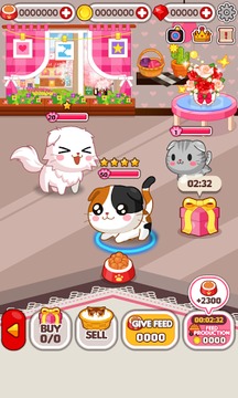 Animal Judy: ScottishFold care游戏截图2