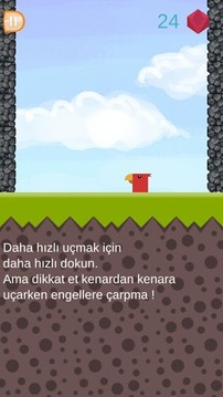 Kodomon Kuş游戏截图3
