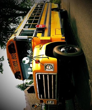 School Bus 3D游戏截图4